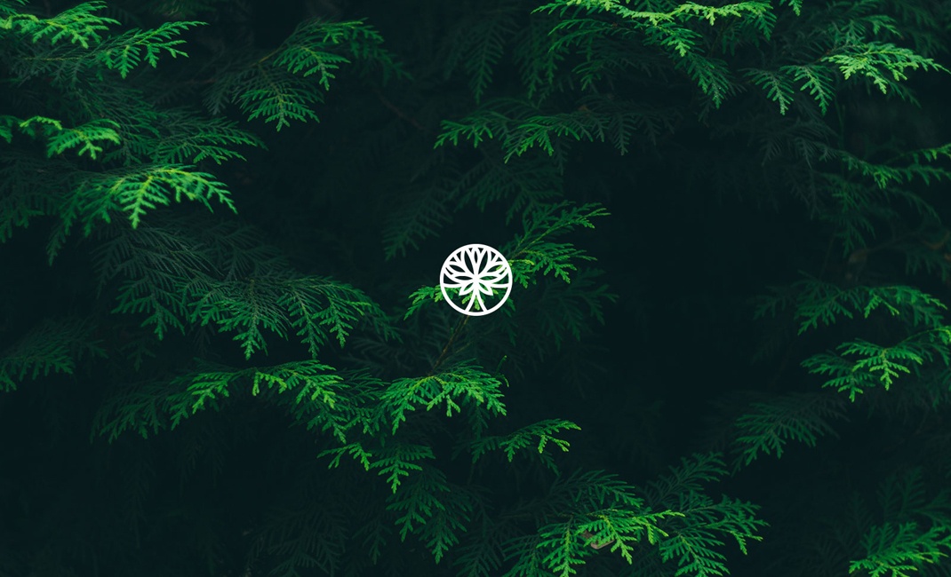 國(guó)外logo設(shè)計(jì)大全 國(guó)外logo設(shè)計(jì)大全