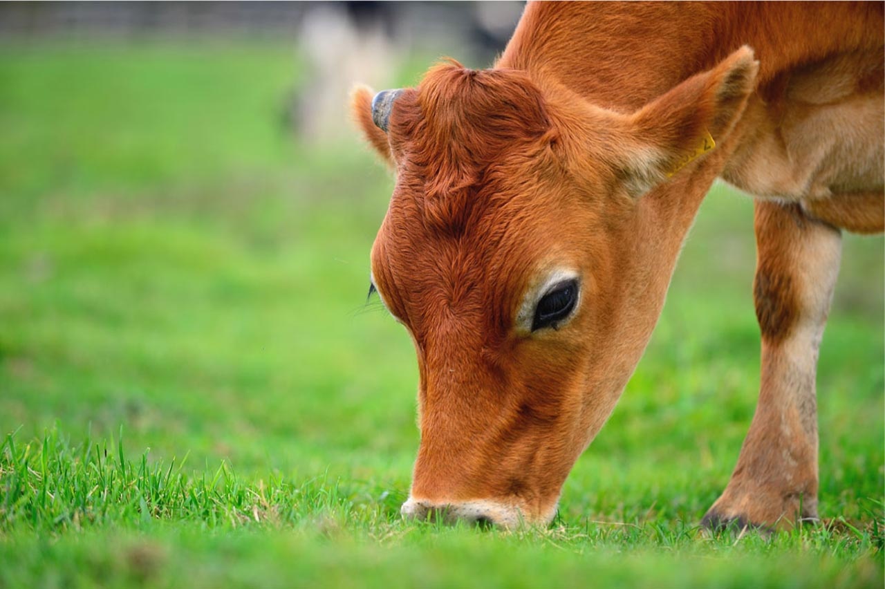 包裝設計 包裝設計