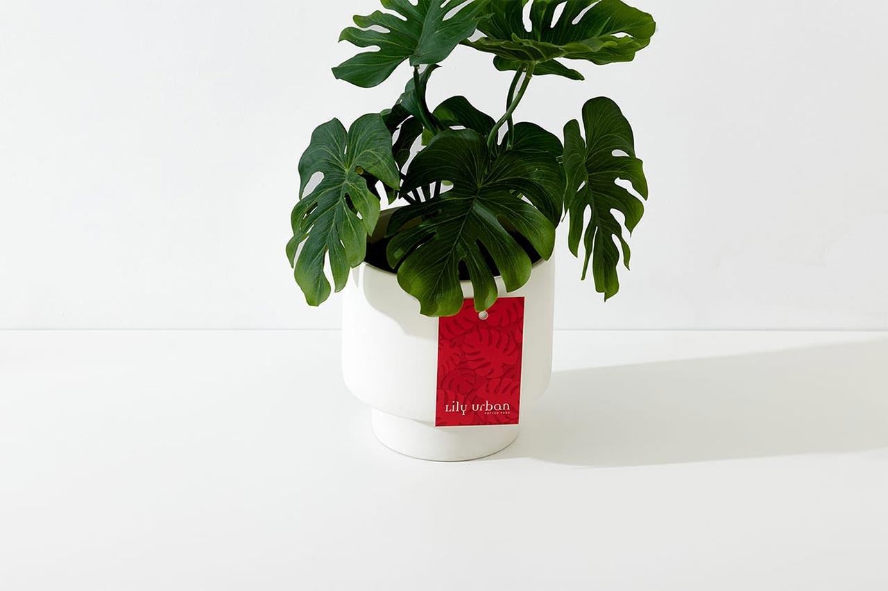 企業(yè)VI設計 企業(yè)VI設計