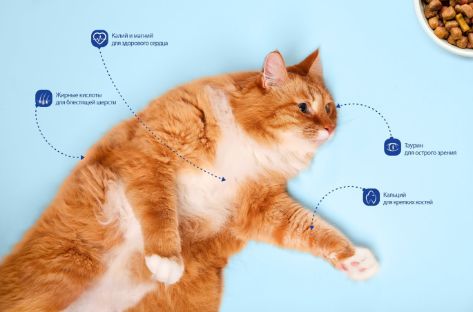 1565142640365477.jpg 1565142628(1).jpg